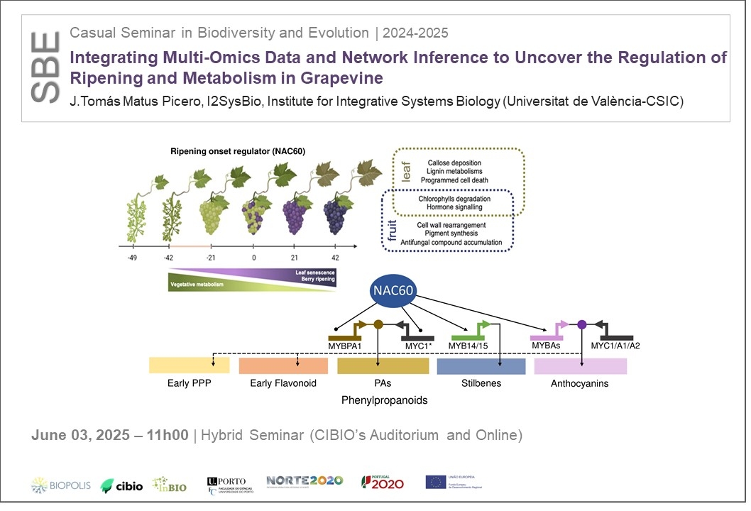 Integrating Multi-Omics Data and Network Inference to Uncover the Regulation of Ripening and Metabolism in Grapevine