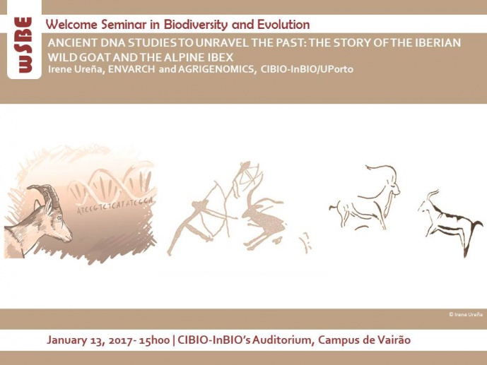 ANCIENT DNA STUDIES TO UNRAVEL THE PAST: THE STORY OF THE IBERIAN WILD GOAT AND THE ALPINE IBEX