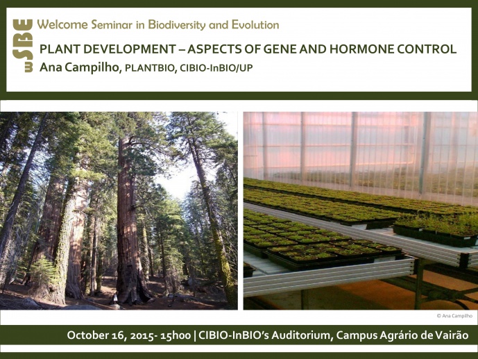 PLANT DEVELOPMENT – ASPECTS OF GENE AND HORMONE CONTROL