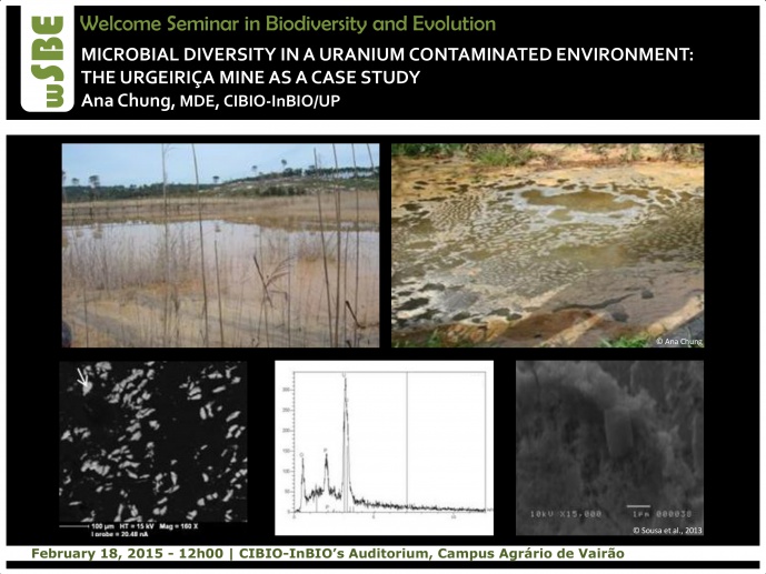 MICROBIAL DIVERSITY IN A URANIUM CONTAMINATED ENVIRONMENT: THE URGEIRIÇA MINE AS A CASE STUDY
