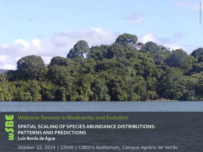 SPATIAL SCALING OF SPECIES ABUNDANCE DISTRIBUTIONS: PATTERNS AND PREDICTIONS