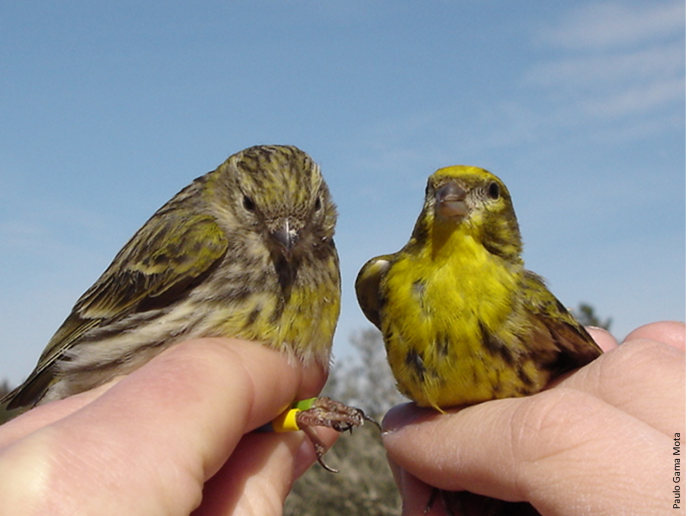 Behavioural Ecology - BE
