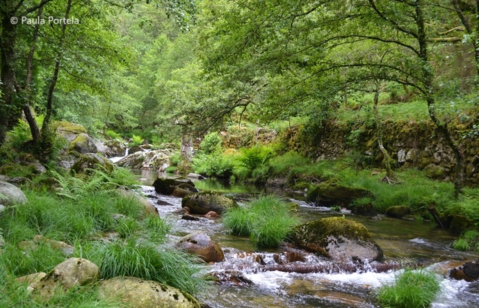 Biogeography and Evolution of Plants and Ecosystems - BEPE