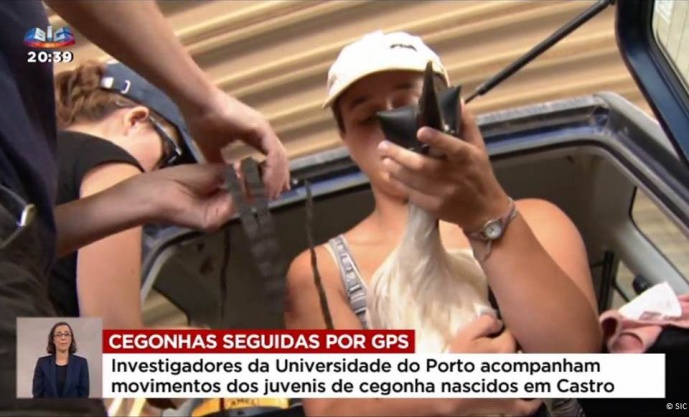 STORK’S MONITORING PROJECT AT JORNAL DA NOITE – SIC