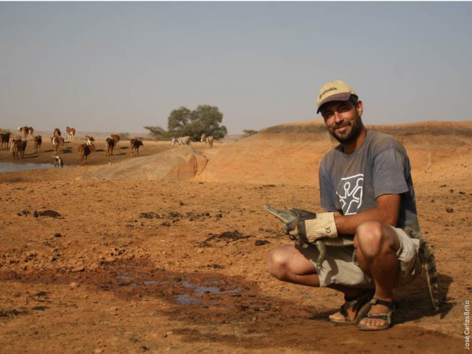 BIÓLOGO PORTUGUÊS ESTUDA CROCODILOS DO SAHARA