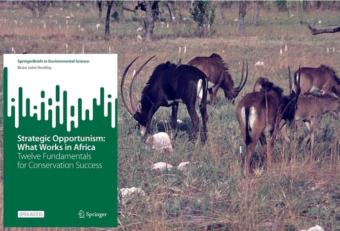 Lançamento de livro que traz nova esperança à conservação em África