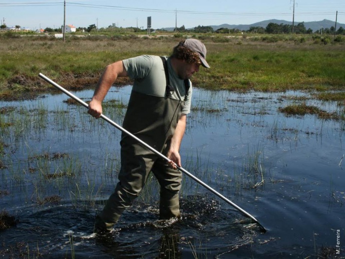 INVESTIGADOR DO CIBIO RECEBE PRÉMIO FLUVIÁRIO