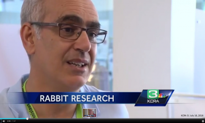 PAULO CÉLIO ALVES TALKS TO KCRA 3 AND THE MODESTO BEE ABOUT THE 5TH WORLD LAGOMORPH CONFERENCE PAULO CÉLIO ALVES TALKS TO KCRA 3 AND THE MODESTO BEE ABOUT THE 5TH WORLD LAGOMORPH CONFERENCE