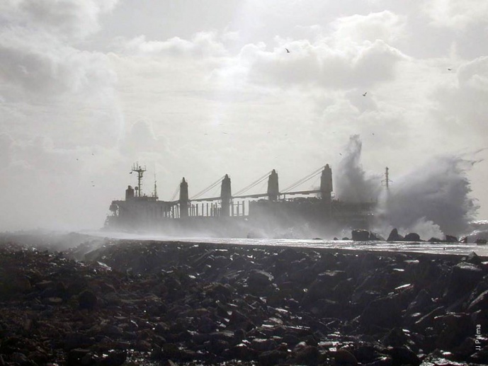 Environmental impact assessment at the coral bulker oil-spill (Viana do Castelo): changes and recovery of intertidal rocky shore organisms