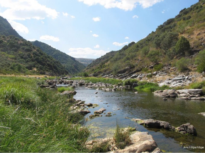 FRESHING - Next-generation biomonitoring: freshwater bioassessment and species conservation improved with metagenomics