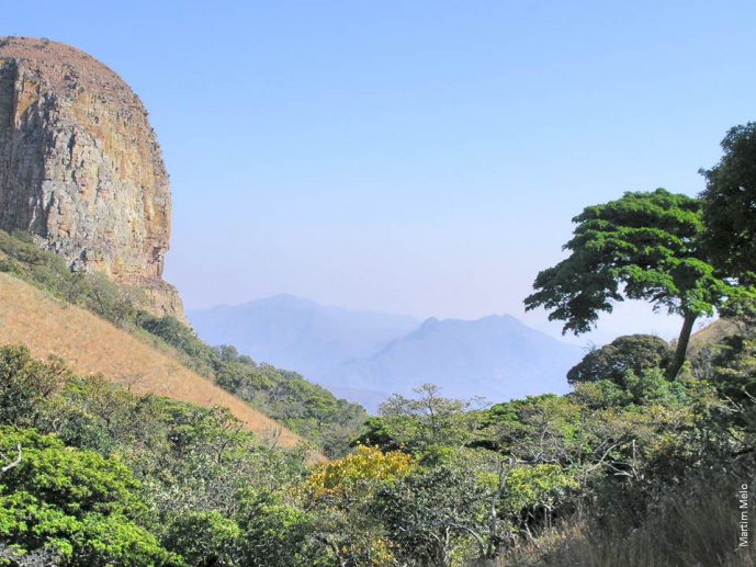 Conserving Angola's threatened Afromontane forests