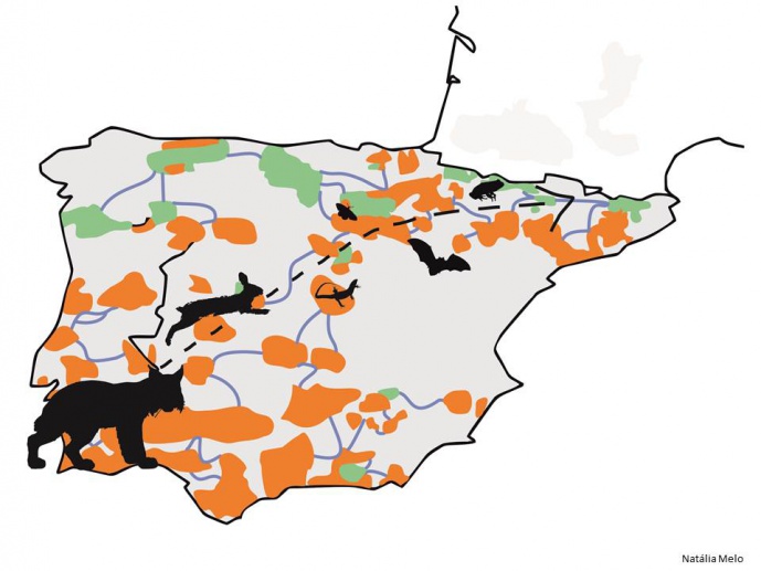 RECONCILE - Biodiversity conservation, Climate change and Uncertainty: Reconciling biodiversity persistence with human development