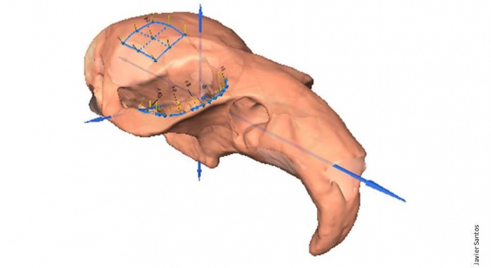 Biodiversidad en 3D